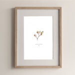PRINT //  PULCHERRIMUS