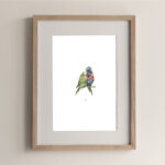 PRINT //  ROSELLA TWINS