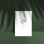 PRINT //  PULCHERRIMUS - Image 3